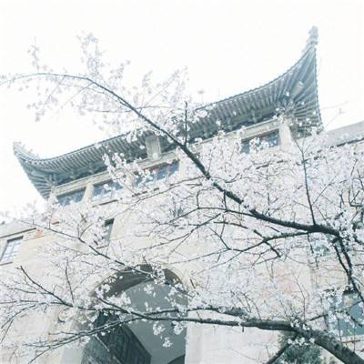 雷电黄色预警！北京大部将有雷阵雨局地短时雨强较大伴冰雹